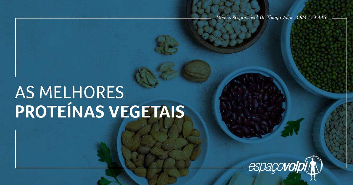 As Melhores Fontes De Proteínas Vegetais Espaço Volpi 9996